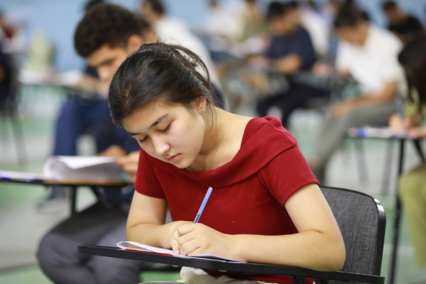 WIUT Scholarship Maths Exam